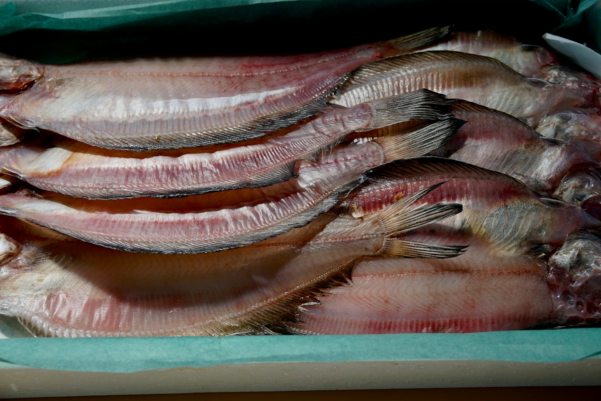Pesce al Forno con Olio e Acciughe